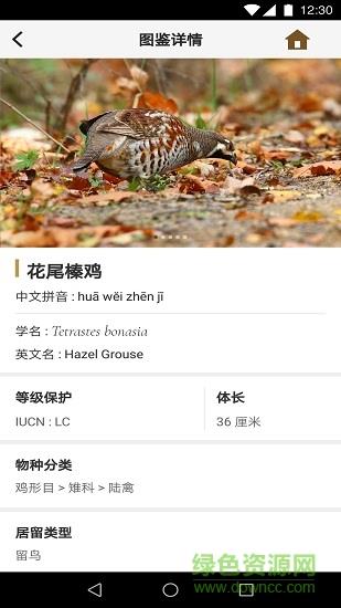 识鸟家  v1.3图4