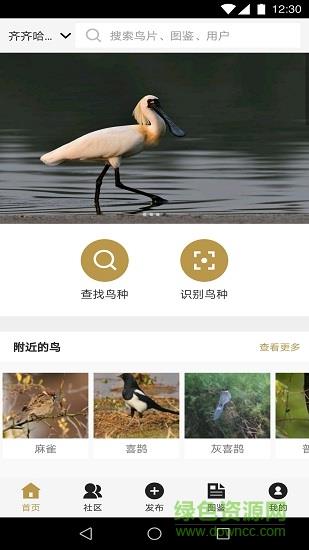 识鸟家  v1.3图1