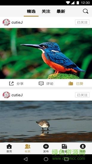 识鸟家  v1.3图2