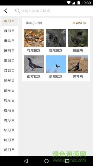 识鸟家