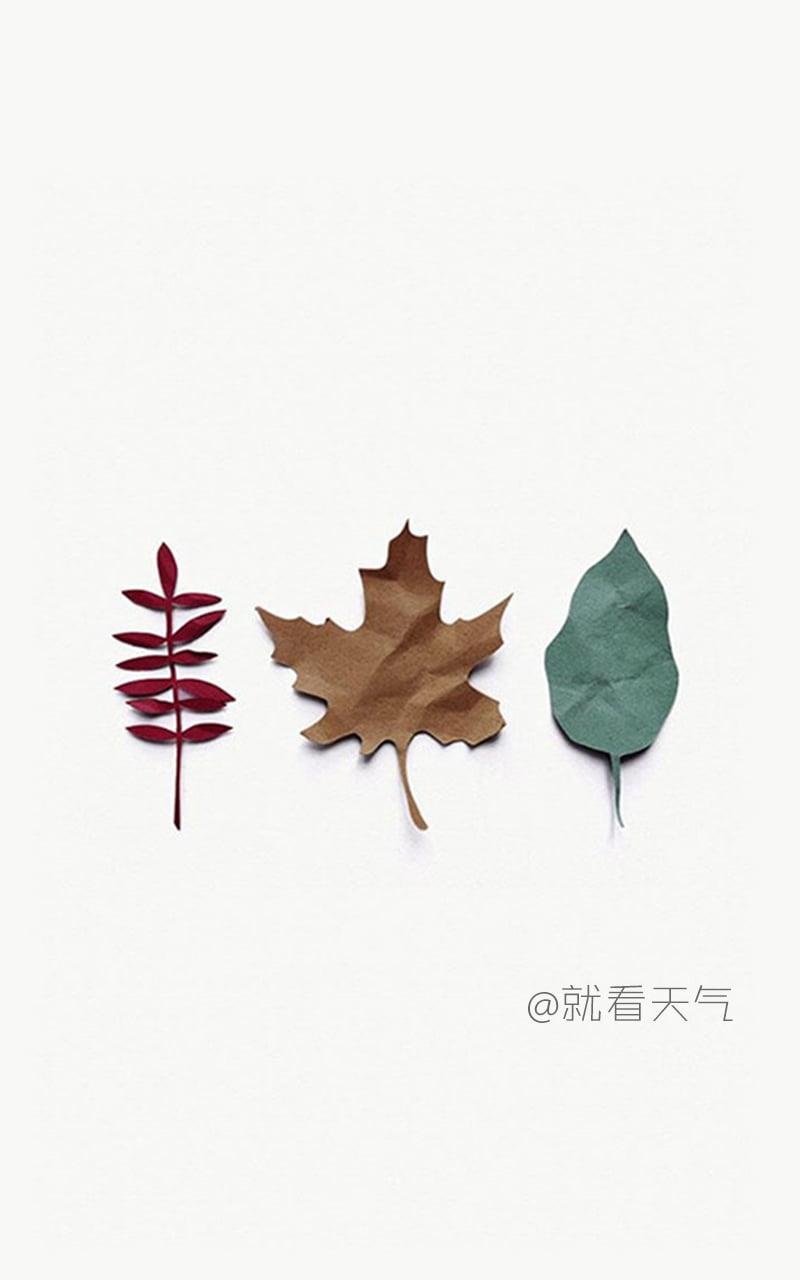 就看天气  v1.1图1