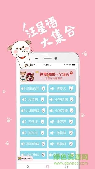 猫语狗语翻译器  v2.0.50图3