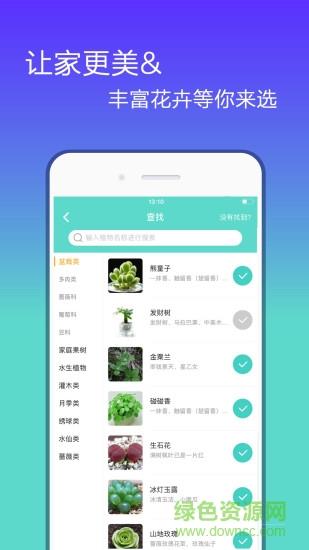 花信  v1.9.3图4