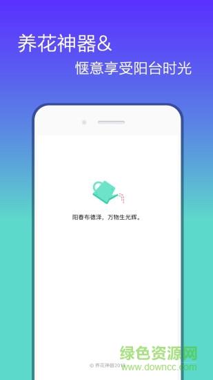 花信