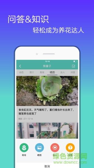 花信  v1.9.3图2