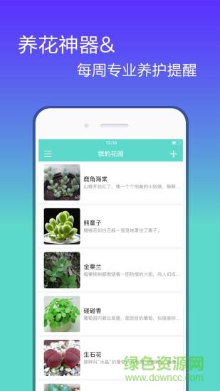 花信  v1.9.3图5