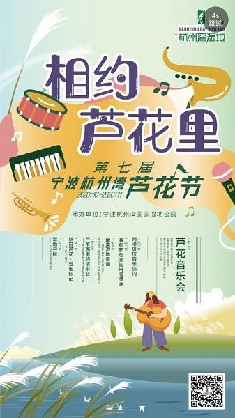 掌上宁波网
