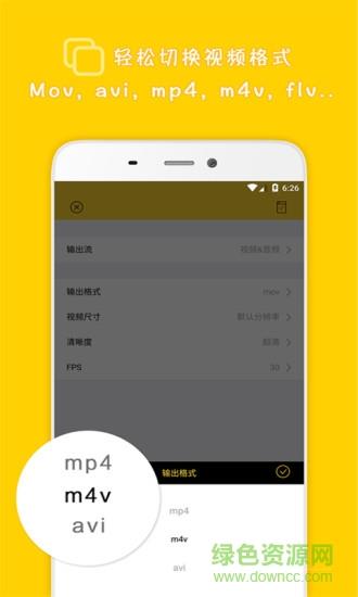 视频格式大师  v1.4图4