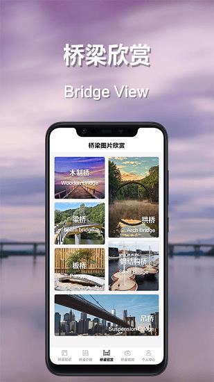 搭桥小专家  v1.1图2