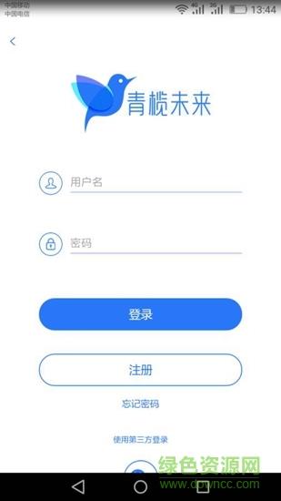 青榄未来