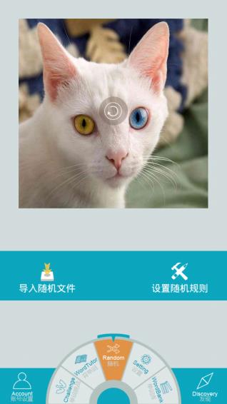 美词君  v1.1图3
