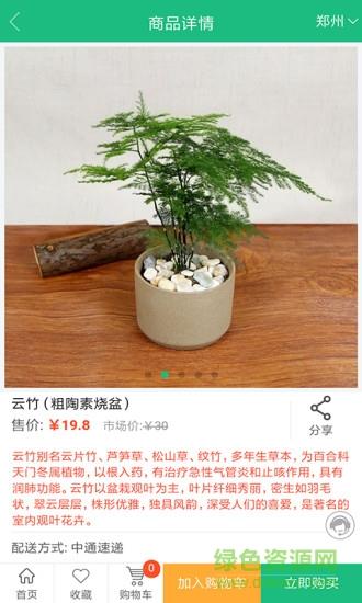 花总管