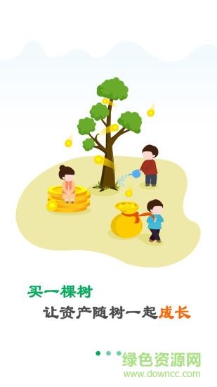 点林  v1.3.3图4