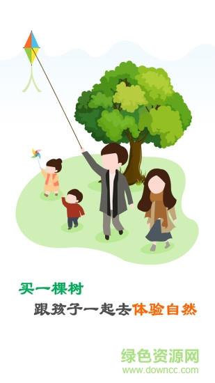 点林