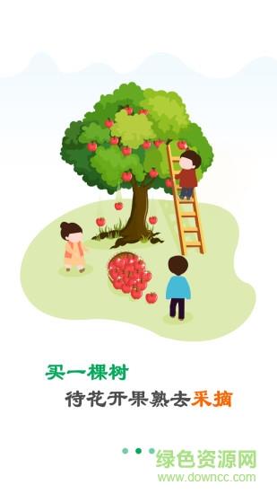 点林  v1.3.3图2