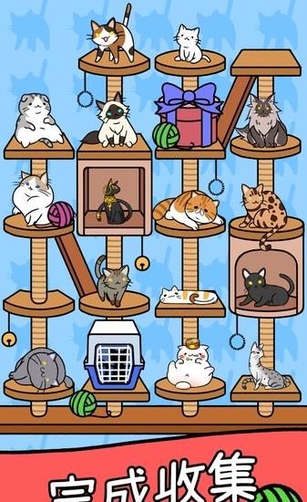Cat Condo  v1.0图4