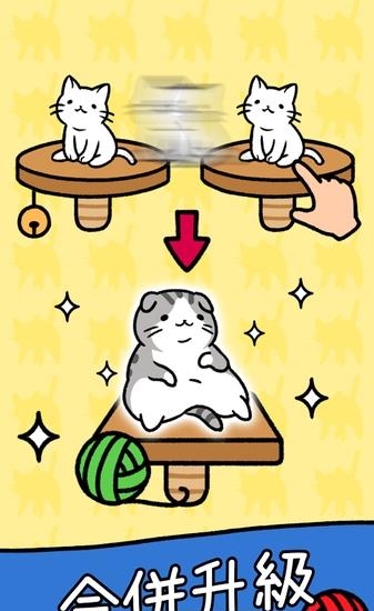 Cat Condo  v1.0图2