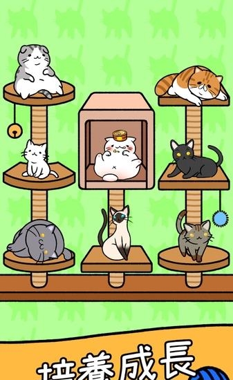 Cat Condo  v1.0图3