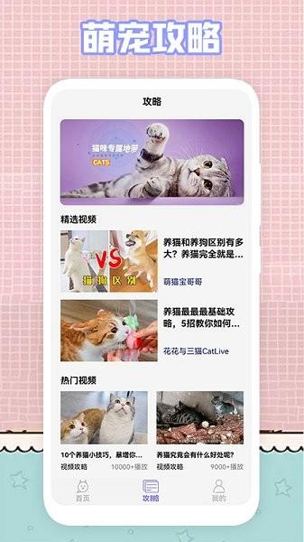 我的猫咪壁纸  v1.1图2