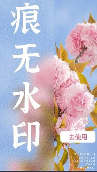 水印扣除  v1.0.0图4
