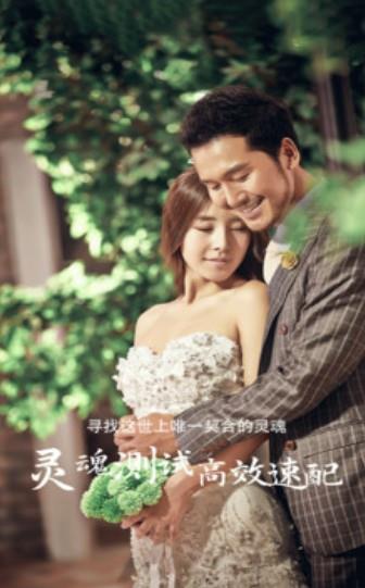 举案齐媒  v0.0.17图1