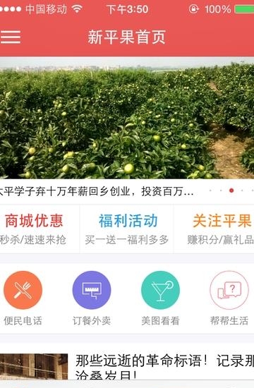 新平果网