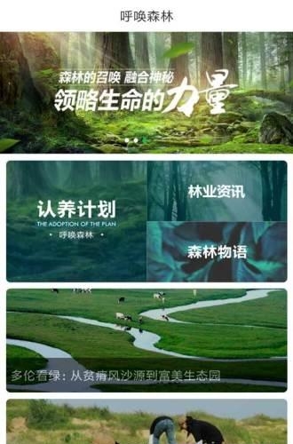 呼唤森林  v2.3.5图1