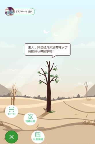 呼唤森林
