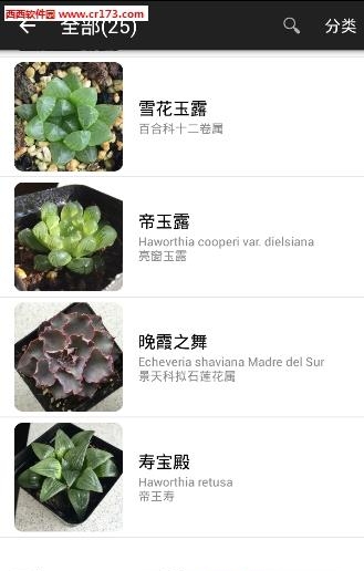 爱花草