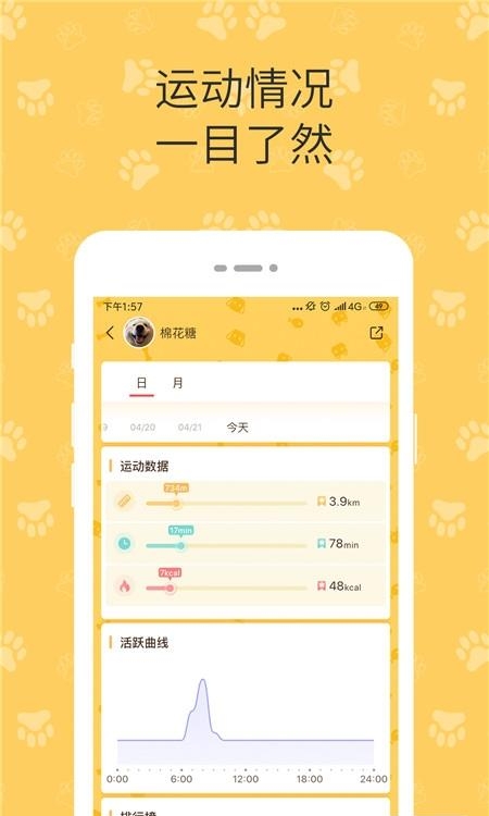 陪彼宠物