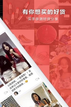 有趣猫  v1.1.3图3