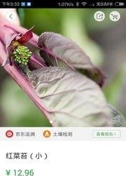 尚作生活  v2.5.2图2