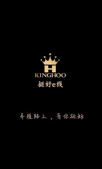 挺好e线