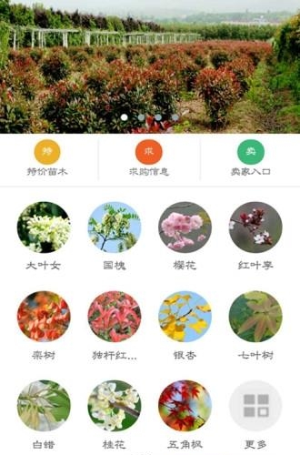 阿绿汇  v1.0图1