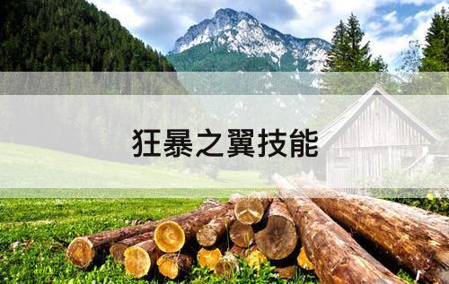 狂暴之翼技能