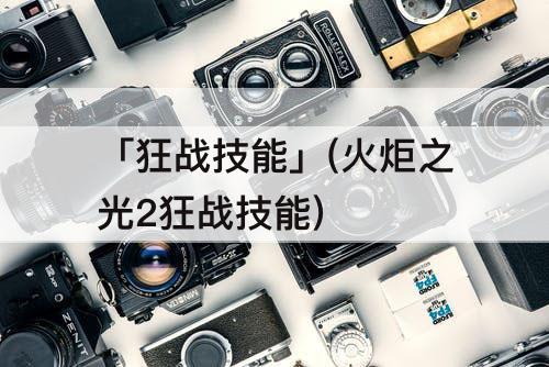「狂战技能」(火炬之光2狂战技能)
