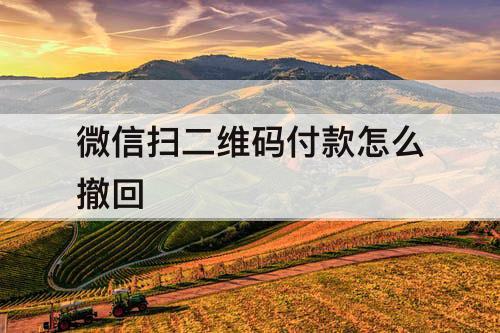 微信扫二维码付款怎么撤回
