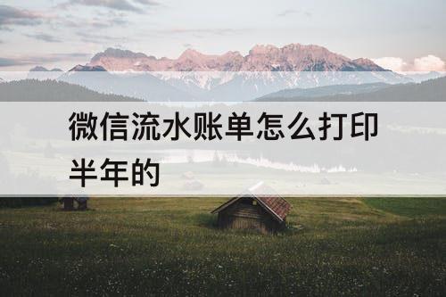 微信流水账单怎么打印半年的
