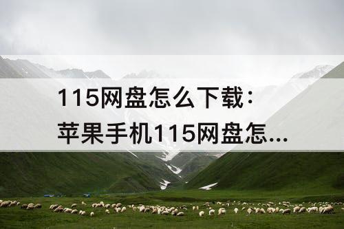 115网盘怎么下载：苹果手机115网盘怎么下载链接