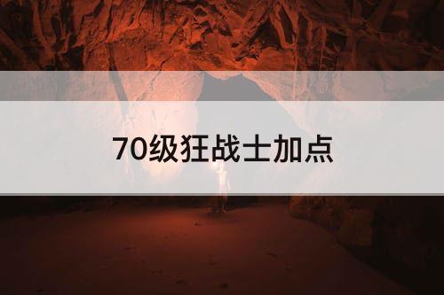 70级狂战士加点