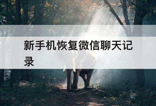 新手机恢复微信聊天记录