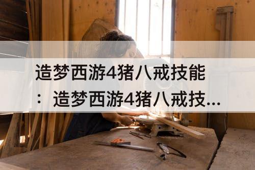 造梦西游4猪八戒技能：造梦西游4猪八戒技能加点推荐