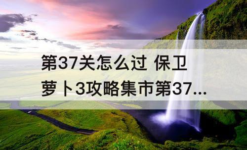 第37关怎么过 保卫萝卜3攻略集市第37关怎么过