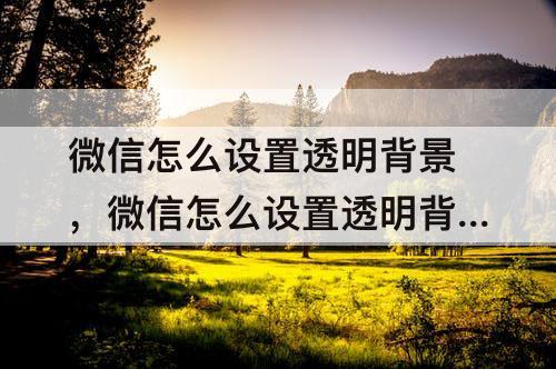 微信怎么设置透明背景，微信怎么设置透明背景皮肤