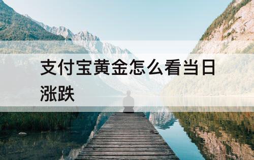 支付宝黄金怎么看当日涨跌