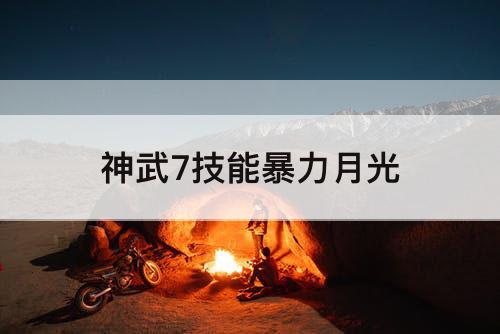 神武7技能暴力月光