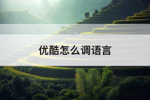 优酷怎么调语言