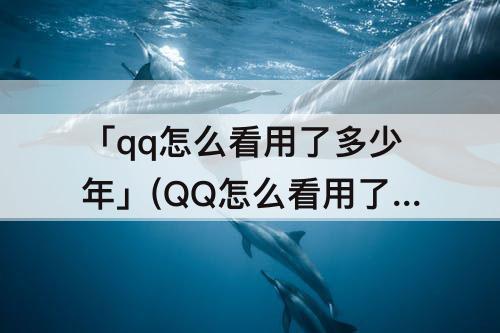 「qq怎么看用了多少年」(QQ怎么看用了多少年了)