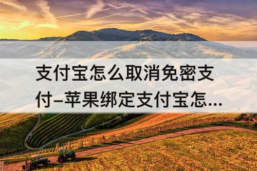 支付宝怎么取消免密支付-苹果绑定支付宝怎么取消免密支付