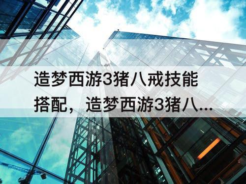 造梦西游3猪八戒技能搭配，造梦西游3猪八戒技能搭配怎样才牛